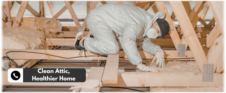 Attic Cleaning Plantation