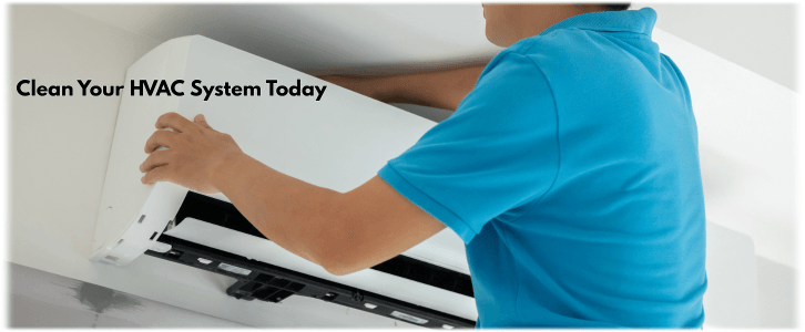 HVAC Mold Removal Plantation
